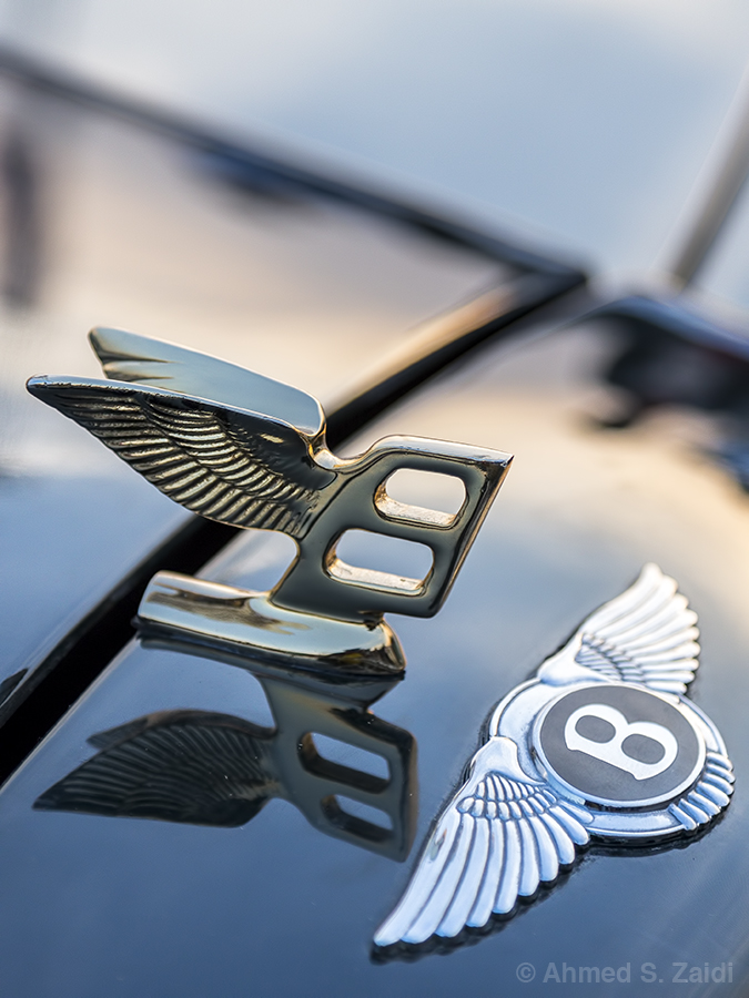 Bentley Continental wings emblem