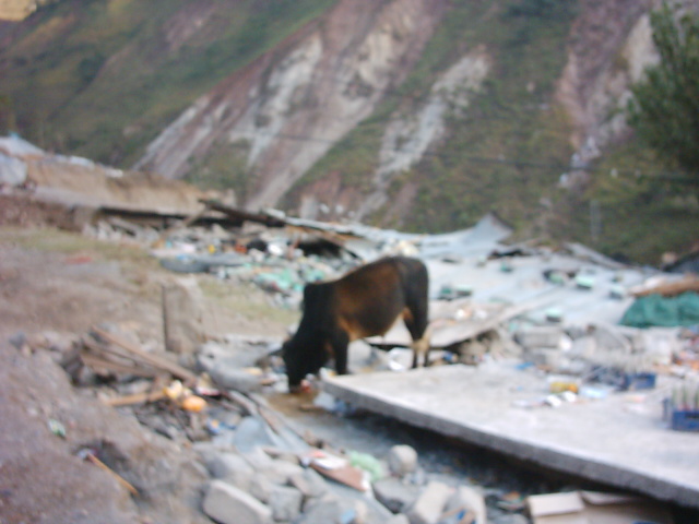 Collapsed buildings in Kamsar