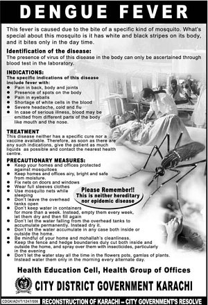Dengue fever information and precautions